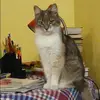 Отзыв от Елена Елисеева